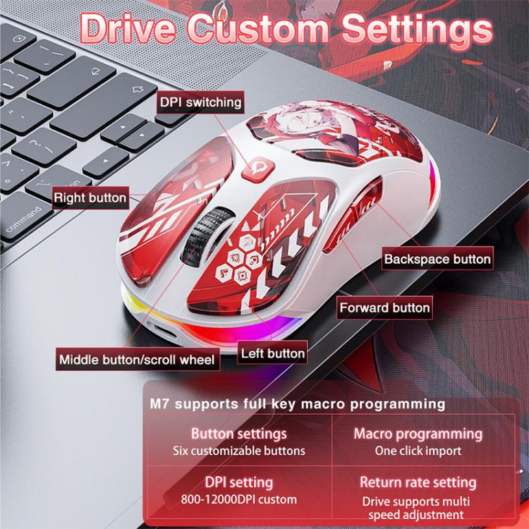 EDA0089731_B6.jpg@6fe80f7586a8efc9e4713958f79d0b59