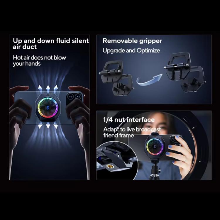 EDA008981201A_3.jpg@c256a74ea348c2abee99632952e19988