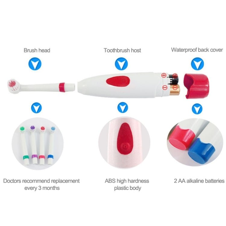 2W Creative Household Waterproof Rotary Electric Toothbrush Set with 4 Replacement Brush Heads & Base, 8500 Revolutions Per Minute(Red) - Toothbrushes by PMC TechLife | Online Shopping South Africa | PMC TechLife | Buy Now Pay Later Mobicred