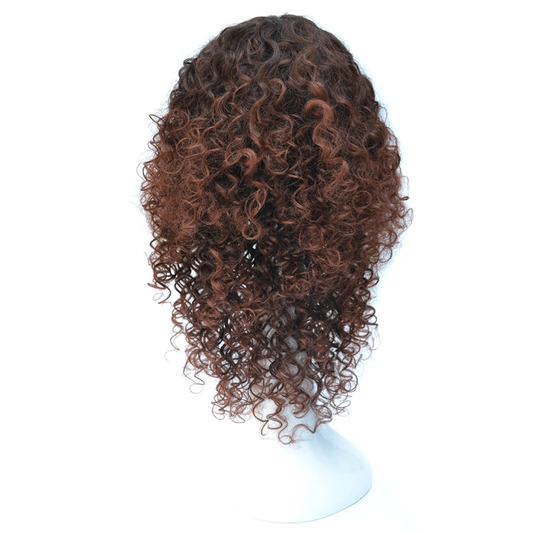 T191006 European and American Wig Headgear with Short and Small Curly Hair for Women (Black Brown) - free shipping - PMC TechLife - Order now!
