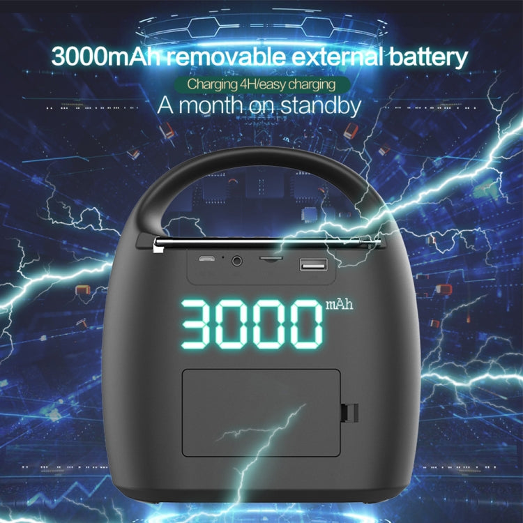 ZEALOT S42 Portable FM Radio Wireless Bluetooth Speaker with Built-in Mic, Support Hands-Free Call & TF Card & AUX (Black) - free shipping - PMC Jewellery - Order now!
