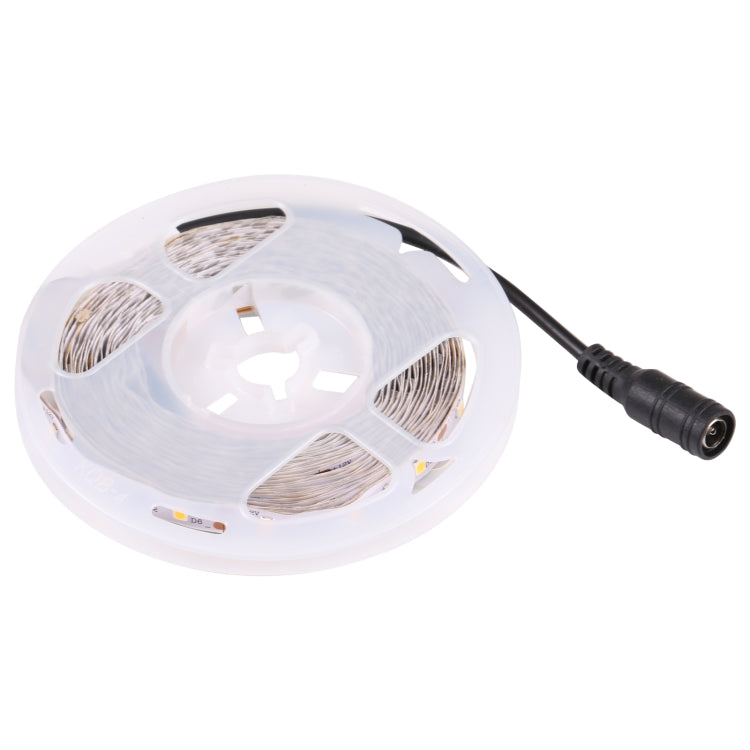 Bare Board 2835 SMD Dimmable White Light / Warm Light LED Rope Light, 60 LED/m, Length: 5m, 12V 2A 100-240V(EU Plug) - Bare Board Light by PMC TechLife | Online Shopping South Africa | PMC TechLife | Buy Now Pay Later Mobicred