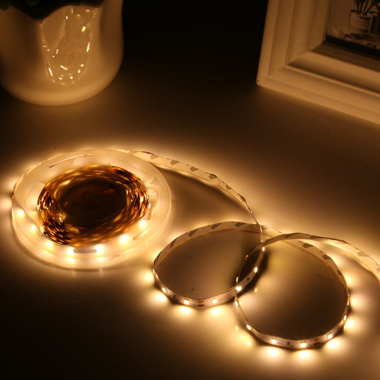 Bare Board 2835 SMD Dimmable White Light / Warm Light LED Rope Light, 60 LED/m, Length: 5m, 12V 2A 100-240V(EU Plug) - Bare Board Light by PMC TechLife | Online Shopping South Africa | PMC TechLife | Buy Now Pay Later Mobicred
