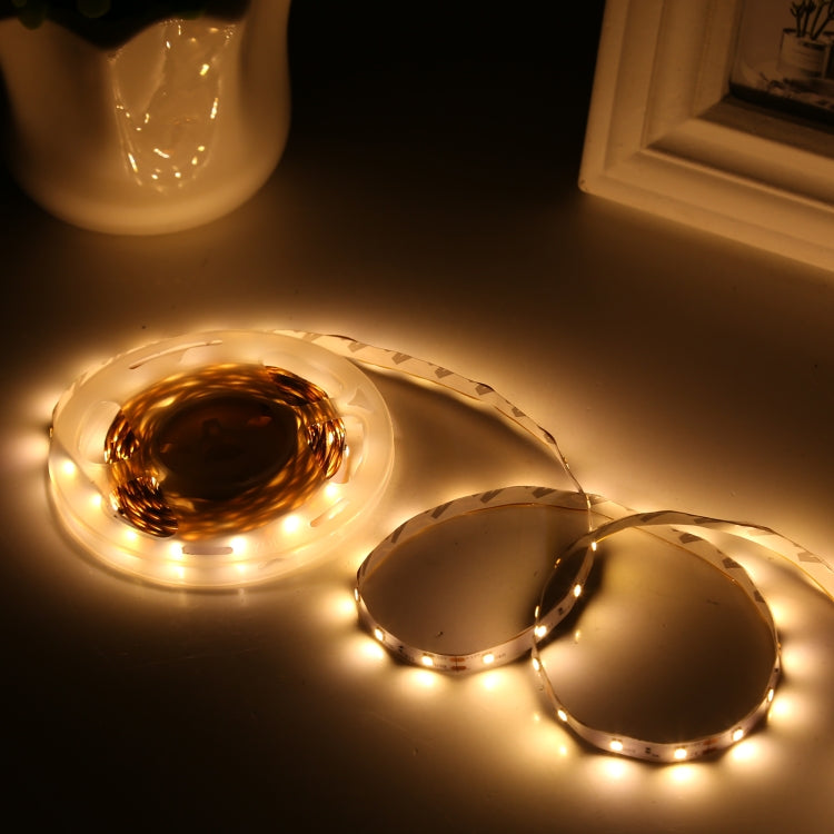 2pcs Bare Board 5050 SMD RGB LED Rope Light, 30 LED/m, Length: 5m, 12V 2A 100-240V, with 24 Keys Doodle Controller (US Plug) - Bare Board Light by PMC TechLife | Online Shopping South Africa | PMC TechLife | Buy Now Pay Later Mobicred