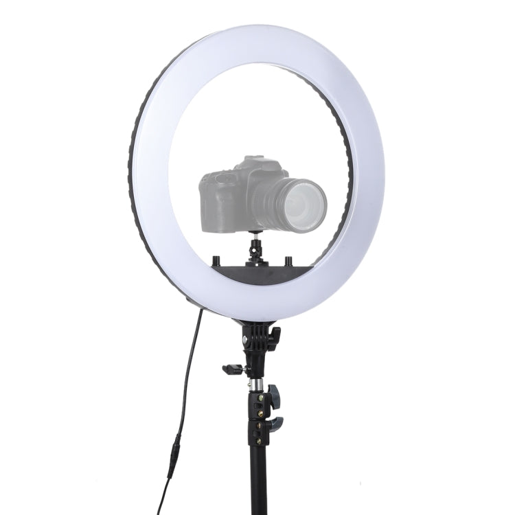 18 inch 55W Two-speed Dimmable Anchor Photography Self-timer LED Ring Fill-in Light with Tripod - Ring Light by PMC TechLife | Online Shopping South Africa | PMC TechLife | Buy Now Pay Later Mobicred