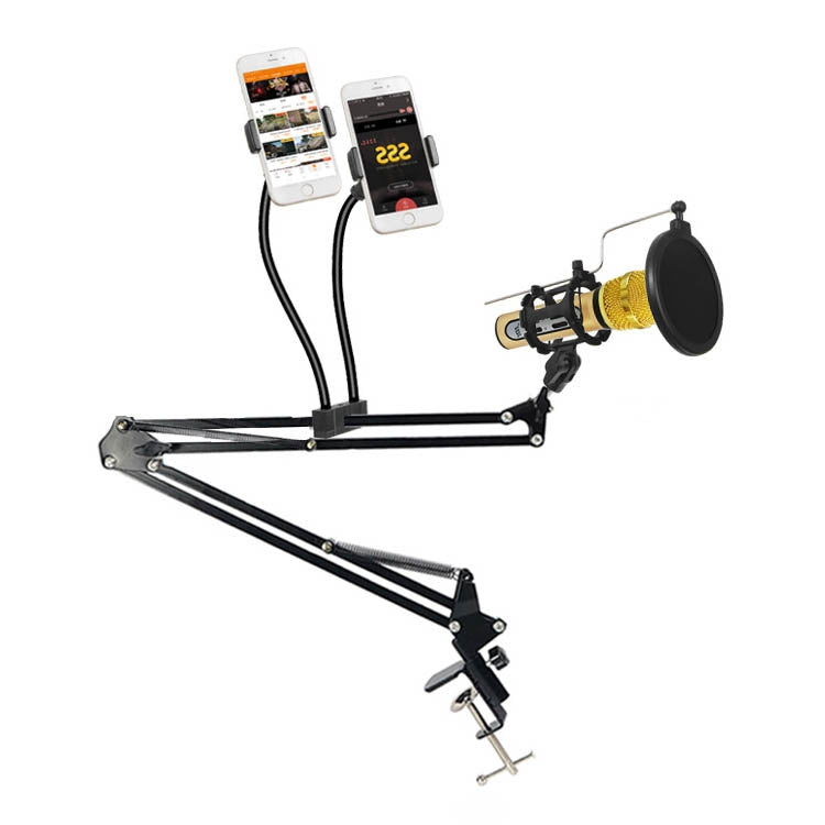Dual Mobile Phone K Song Bracket 360 Degree Direction Cantilever Multifunctional Lazy Microphone Live Broadcast Bracket - Stand by PMC TechLife | Online Shopping South Africa | PMC TechLife | Buy Now Pay Later Mobicred