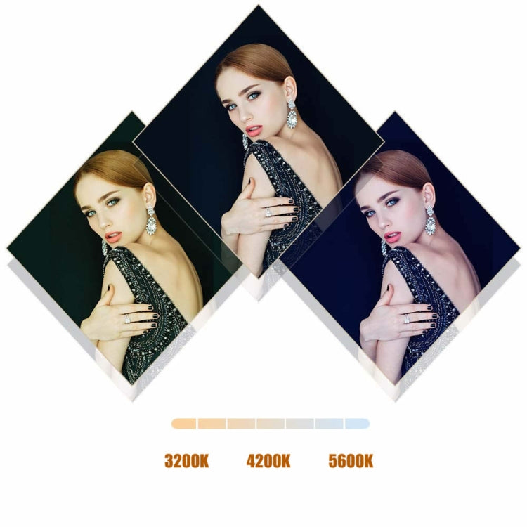 MANTOO RL-12 II 100-240V 28W 12 inch Two-color Dimmable Ring Fill Light with Tripod - free shipping - PMC Jewellery - Order now!