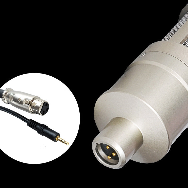 AQ-220 K Song Live Recording Noise Reduction Capacitor Microphone - Microphone by PMC TechLife | Online Shopping South Africa | PMC TechLife | Buy Now Pay Later Mobicred