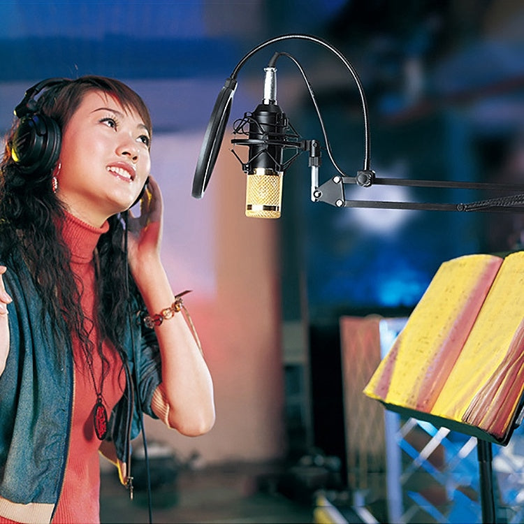 BM-800 3.5mm Studio Recording Wired Condenser Sound Microphone with Shock Mount, Compatible with PC / Mac for Live Broadcast Show, KTV, etc.(White) - Microphone by PMC TechLife | Online Shopping South Africa | PMC TechLife | Buy Now Pay Later Mobicred