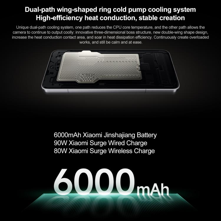 MPH2834_B20.jpg@b6be91b3e6caba578396935e77313548