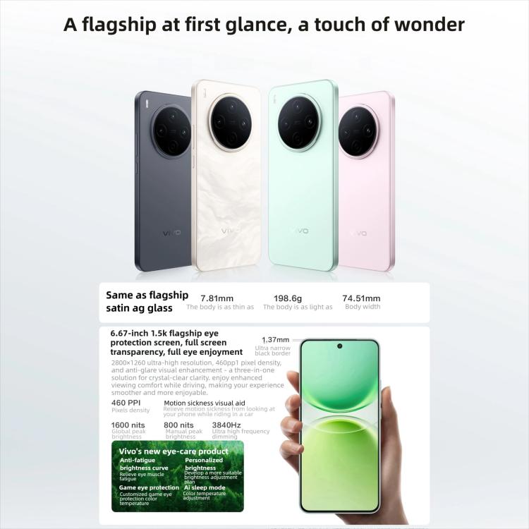 MPH4499_B3.jpg@15bf1a22a253d98d82e494a054b0a001