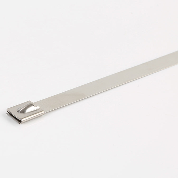 100 PCS 4.6x100mm Stainless Steel Metal Cable Ties Tie Zip Wrap Exhaust Heat Straps Induction Pipe - Clamps by PMC TechLife | Online Shopping South Africa | PMC TechLife