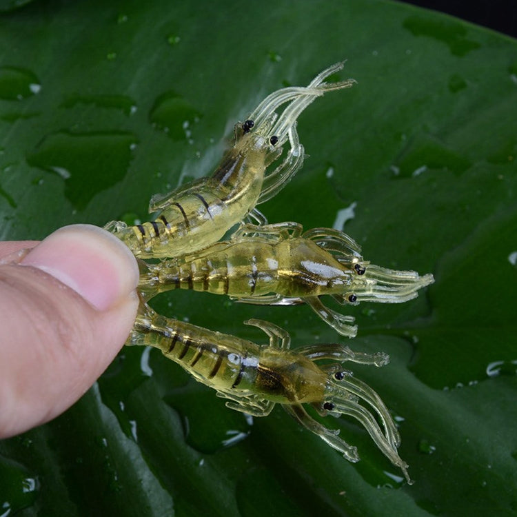 10 PCS 4cm Fishing Soft Bait Lures Popper Poper Baits(Natural) - Fishing Lures by PMC TechLife | Online Shopping South Africa | PMC TechLife | Buy Now Pay Later Mobicred