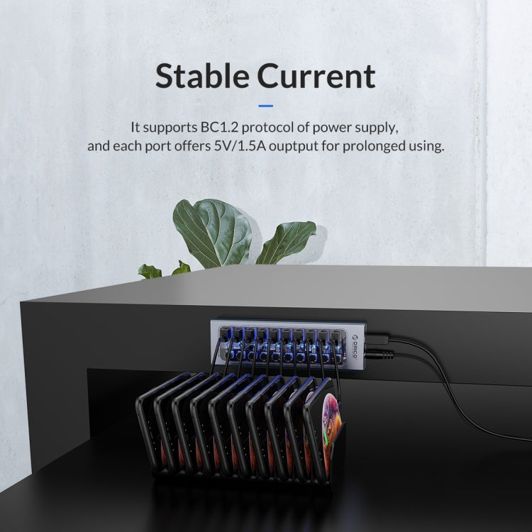 ORICO AT2U3-13AB-GY-BP 13 Ports USB 3.0 HUB with Individual Switches & Blue LED Indicator, AU Plug - free shipping - PMC Jewellery - Order now!