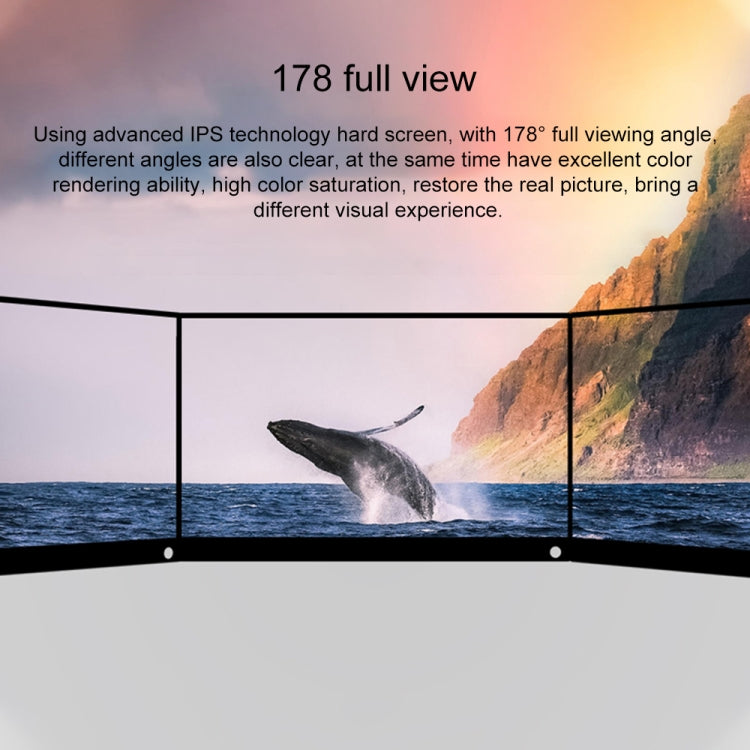 15.6 inch 1080P 178 Degree Wide Angle HD Portable IPS LED Display Monitor - 15 inch Above by PMC TechLife | Online Shopping South Africa | PMC TechLife | Buy Now Pay Later Mobicred