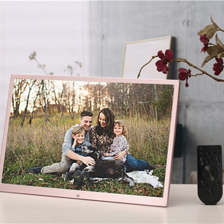 HSD1707 17 inch LED 1440X900 High Resolution Display Digital Photo Frame with Holder and Remote Control, Support SD / MMC / MS Card / USB Port, US Plug(Gold) - 15 inch Above by PMC TechLife | Online Shopping South Africa | PMC TechLife | Buy Now Pay Later Mobicred