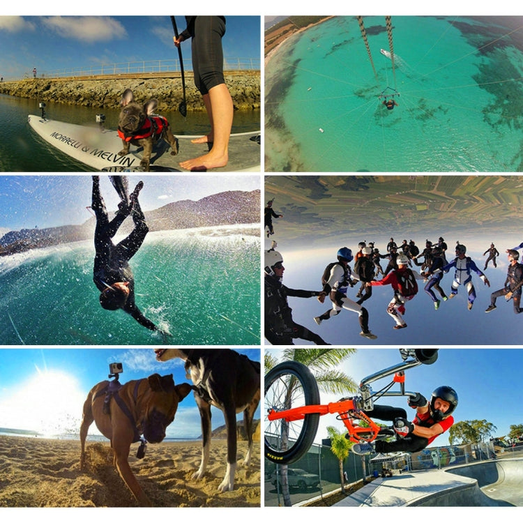 PULUZ 24 in 1 Bike Mount Accessories Combo Kits (Wrist Strap + Helmet Strap + Extension Arm + Quick Release Buckles + Surface Mounts + Adhesive Stickers + Tripod Adapter + Storage Bag + Handlebar Moun ...  for GoPro, Insta360, DJI and Other Action Cameras -  by PULUZ | Online Shopping South Africa | PMC TechLife | Buy Now Pay Later Mobicred