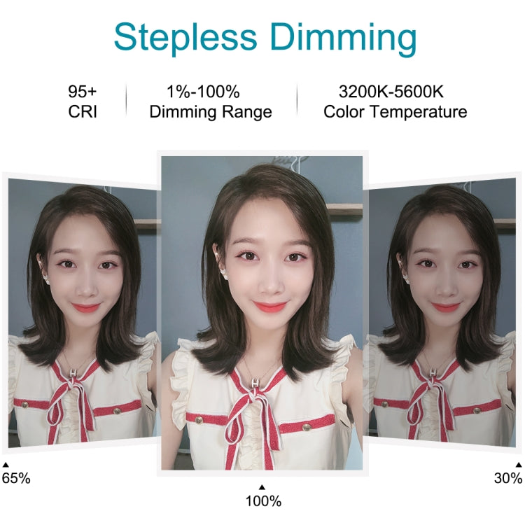 PULUZ 7.9 inch 20cm Light + Desktop Tripod Mount USB 3 Modes Dimmable Dual Color Temperature LED Curved Light Ring Vlogging Selfie Beauty Photography Video Lights with Phone Clamp(Black) - Ring Light by PULUZ | Online Shopping South Africa | PMC TechLife | Buy Now Pay Later Mobicred