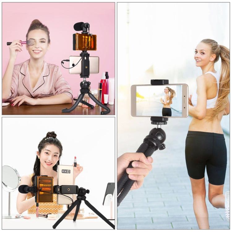 PULUZ  4 in 1 Vlogging Live Mini Octopus Bracket Kit + Studio Light + Microphone + Phone Clamp Kits(Black) - free shipping - PMC TechLife - Order now!