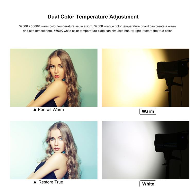 PULUZ 220V 120W Studio Video Light + 2.8m Light Holder + 65cm Foldable Lantern Softbox Photography Kit(US Plug) - free shipping - PMC TechLife - Order now!