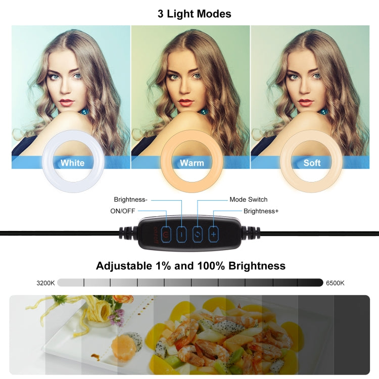 PULUZ 7.9 inch 20cm Ring Selfie Light + Monitor Clip 3 Modes USB Dimmable Dual Color Temperature LED Curved Vlogging Photography Video Lights Kits with Phone Clamp(Black) - Ring Light by PULUZ | Online Shopping South Africa | PMC TechLife | Buy Now Pay Later Mobicred