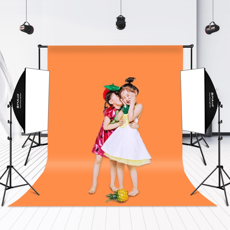 PULUZ Softbox Lighting Kit 2 PCS 50x70cm Professional Photo Studio Photography Light Equipment with 2 x E27 Socket Bulb Photography Lighting Kit(US Plug) - free shipping - PMC TechLife - Order now!