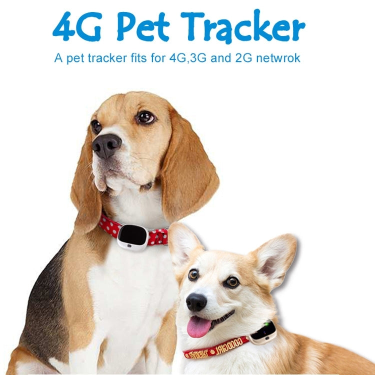RF-V43 B Style IP67 Waterproof GPS + LBS + WiFi Pet Locator Pet Collar Tracking Device For North America/South America(White) - Pet Tracker by PMC TechLife | Online Shopping South Africa | PMC TechLife | Buy Now Pay Later Mobicred