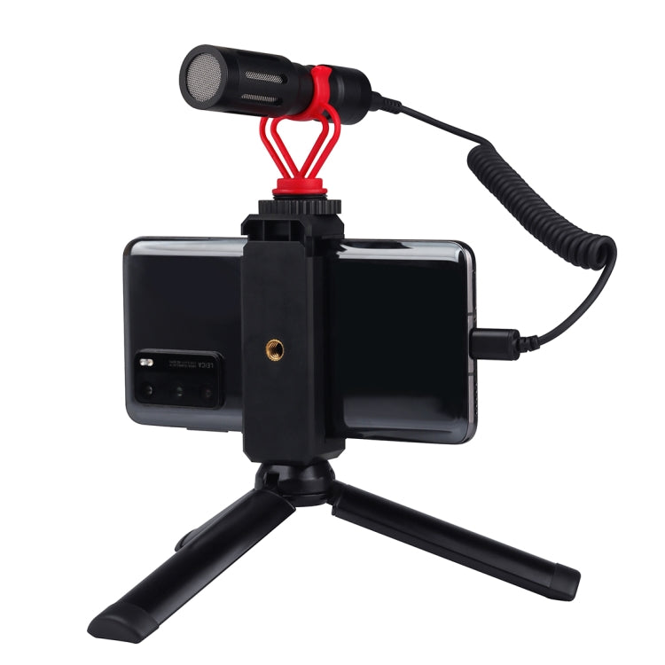 PULUZ 3.5mm TRRS Male to Type-C / USB-C Male Live Microphone Audio Adapter Spring Coiled Cable for Samsung, Huawei and Smartphones, Cable Stretching to 100cm(Black) - Microphone Audio Cable & Connector by PULUZ | Online Shopping South Africa | PMC TechLife | Buy Now Pay Later Mobicred