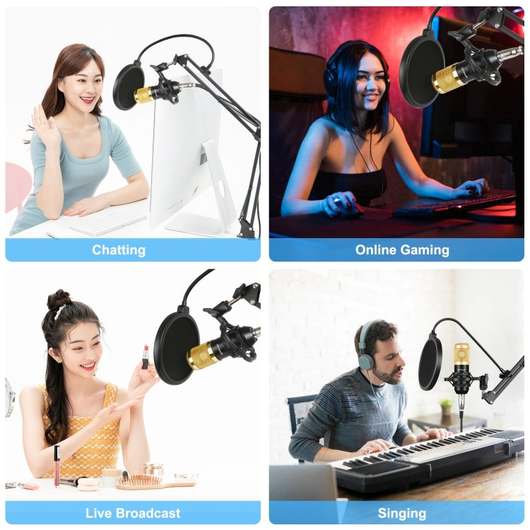 PULUZ Condenser Microphone Studio Broadcast Professional Singing Microphone Kits with Suspension Scissor Arm & Metal Shock Mount & USB Sound Card, Power By 48V(Gold) - Microphone by PULUZ | Online Shopping South Africa | PMC TechLife | Buy Now Pay Later Mobicred