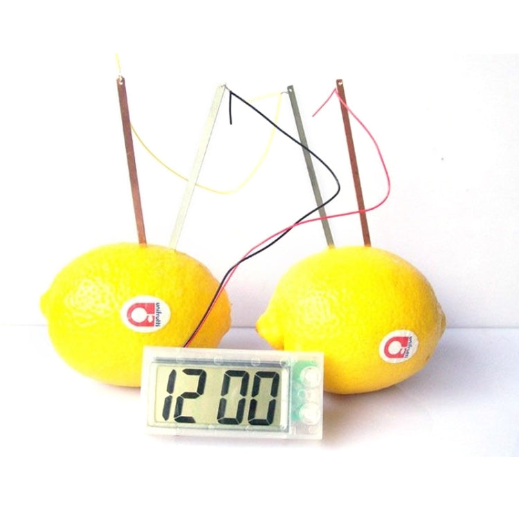 DIY Novel Green Science Potato Digital Clock Educational Kit with 2 inch LCD Screen (Potato NOT Included)(White) - Alarm Clocks by PMC TechLife | Online Shopping South Africa | PMC TechLife | Buy Now Pay Later Mobicred