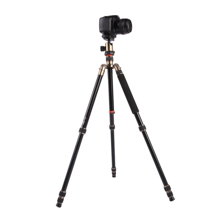 Triopo MT-2504C Adjustable Portable Aluminum Tripod (Gold) with NB-1S Ball Head (Black) for Canon Nikon Sony DSLR Camera - free shipping - PMC TechLife - Order now!