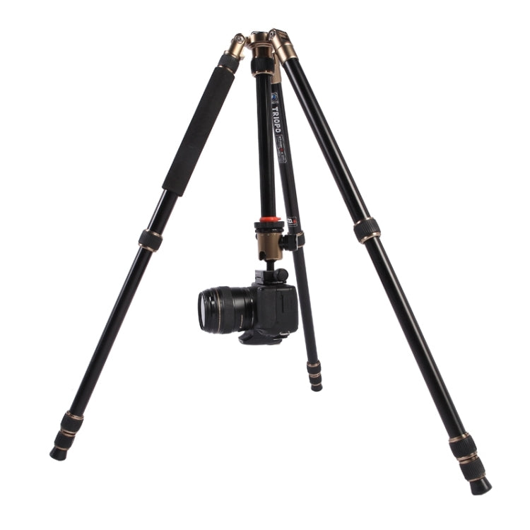 Triopo MT-2504C Adjustable Portable Aluminum Tripod (Gold) with NB-1S Ball Head (Black) for Canon Nikon Sony DSLR Camera - free shipping - PMC TechLife - Order now!