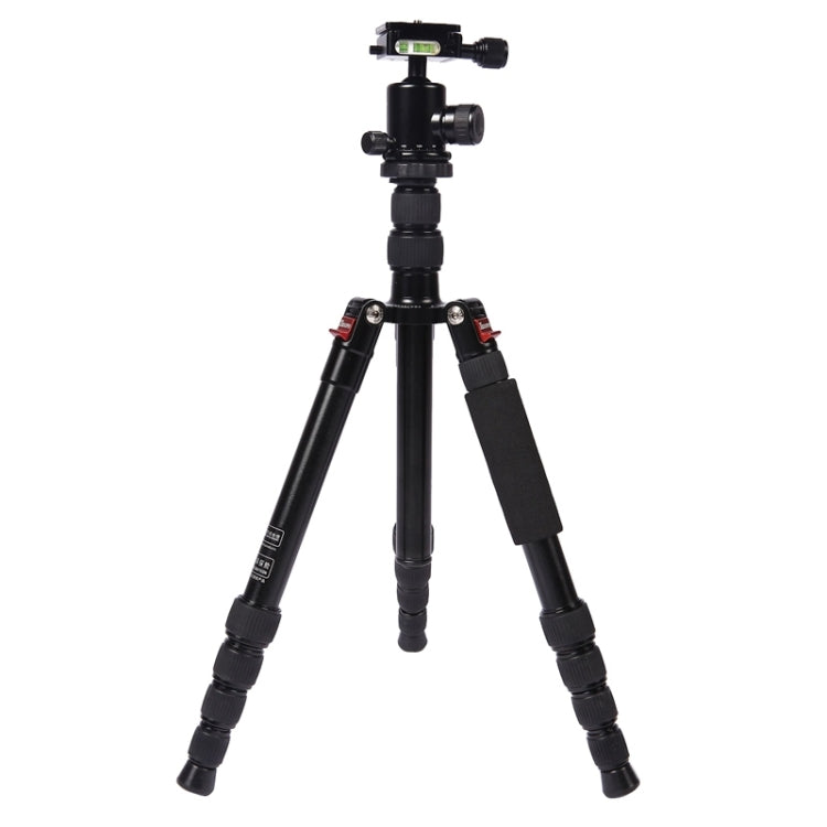 Triopo MT-2505C Adjustable Portable Aluminum Tripod (Gold) with NB-1S Ball Head (Black) for Canon Nikon Sony DSLR Camera - free shipping - PMC TechLife - Order now!