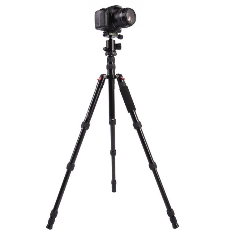 Triopo MT-2505C Adjustable Portable Aluminum Tripod (Gold) with NB-1S Ball Head (Black) for Canon Nikon Sony DSLR Camera - free shipping - PMC TechLife - Order now!