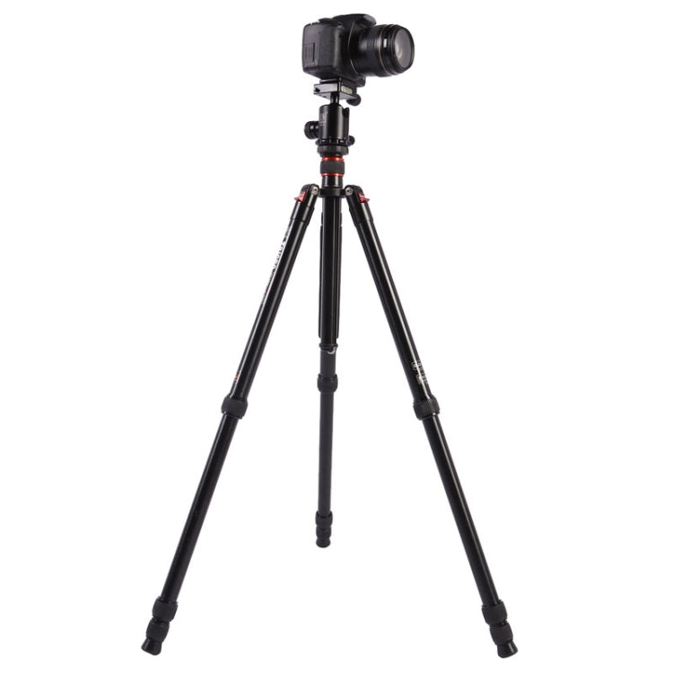Triopo MT-2804C Adjustable Portable Aluminum Tripod (Gold) with NB-2S Ball Head (Black) for Canon Nikon Sony DSLR Camera - free shipping - PMC TechLife - Order now!