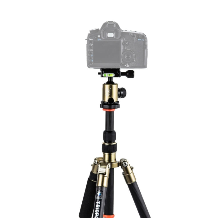 Triopo GT-2505x8.C Adjustable Portable Carbon Fiber Tripod (Gold) with B-1 Aluminum Ball Head (Black) for Canon Nikon Sony DSLR Camera - free shipping - PMC TechLife - Order now!