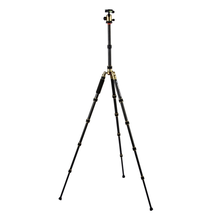 Triopo GT-2505x8.C Adjustable Portable Carbon Fiber Tripod (Gold) with B-1 Aluminum Ball Head (Black) for Canon Nikon Sony DSLR Camera - free shipping - PMC TechLife - Order now!
