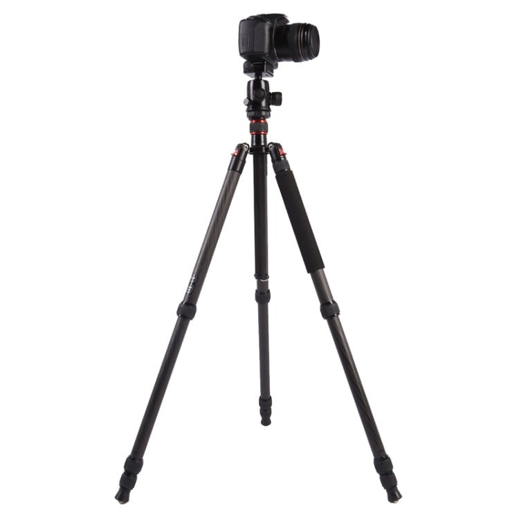 Triopo GT-2804X8.C Adjustable Portable Carbon Fiber Tripod with B-2 Aluminum Ball Head for Canon Nikon Sony DSLR Camera(Black) - free shipping - PMC TechLife - Order now!