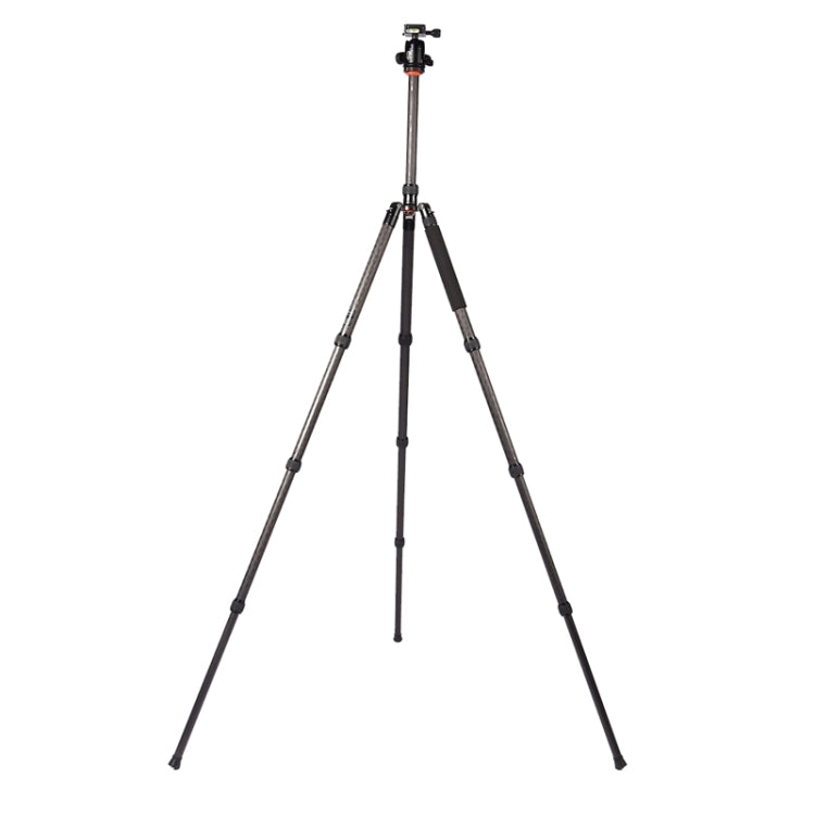 Triopo GT-2804X8.C Adjustable Portable Carbon Fiber Tripod (Gold) with B-2 Aluminum Ball Head (Black) for Canon Nikon Sony DSLR Camera - free shipping - PMC TechLife - Order now!