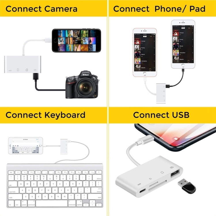 ZS-S1827 4 in 1 SD Card + TF Card + 8 Pin Charge + USB Interface to 8 Pin Interface Camera Reader Adapter, Support All iOS System - Converter & Adapter by PMC Jewellery | Online Shopping South Africa | PMC Jewellery | Buy Now Pay Later Mobicred