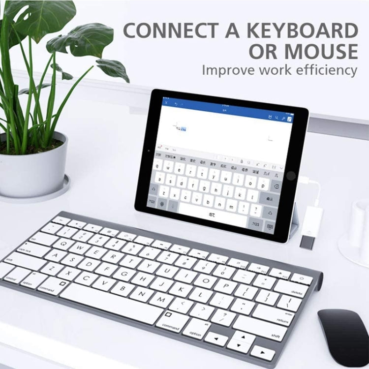 FA-STAR ZS-KL21826 8 Pin to USB 3.0 OTG Adapter, Supports IOS 13 and Above - Converter & Adapter by PMC Jewellery | Online Shopping South Africa | PMC Jewellery | Buy Now Pay Later Mobicred