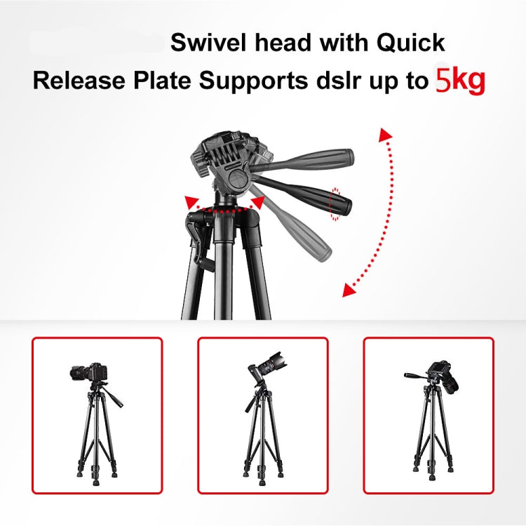 L-3600 Live Tripod with Three-Dimensional Damping Gimbal  Detachable Quick Release Plate  Height Adjustment 62-170cm for SLR Camera  Live Light  Projector ( Black) - Tripods by PMC TechLife | Online Shopping South Africa | PMC TechLife | Buy Now Pay Later Mobicred