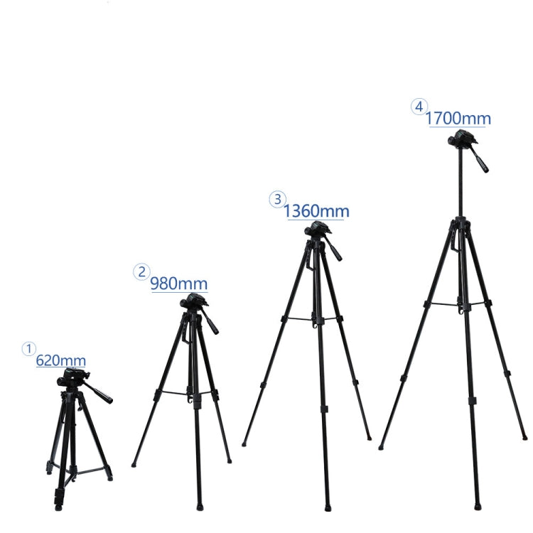 L-3600 Live Tripod with Three-Dimensional Damping Gimbal  Detachable Quick Release Plate  Height Adjustment 62-170cm for SLR Camera  Live Light  Projector ( Black) - Tripods by PMC TechLife | Online Shopping South Africa | PMC TechLife | Buy Now Pay Later Mobicred