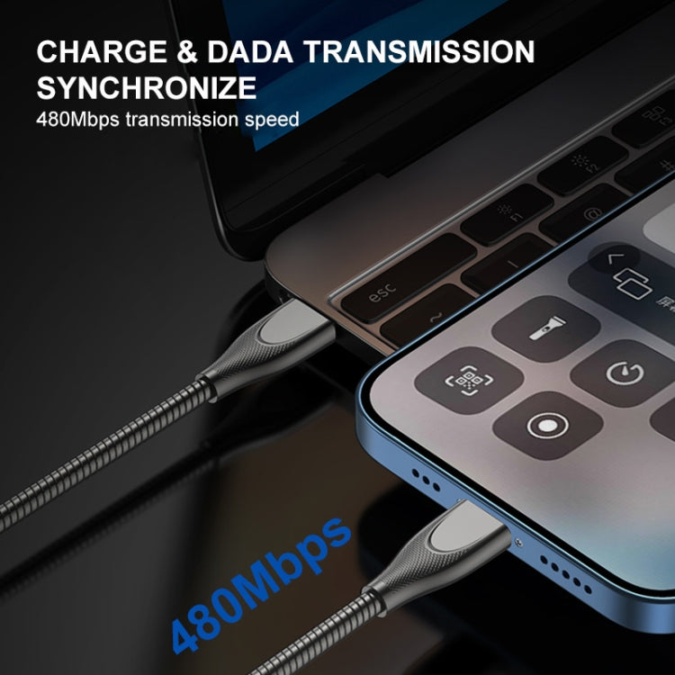 ENKAY ENK-CB131 USB to 8 Pin Carbon Steel Hose Spring 2.4A Fast Charging Data Cable, Length:2m(Silver) - free shipping - PMC Jewellery - Order now!