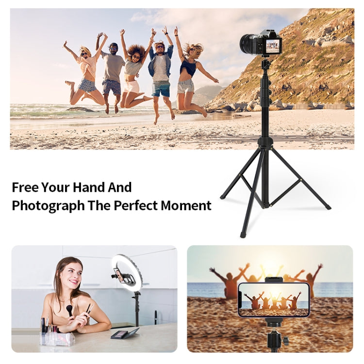 JMARY MT38 Travel Tripod Phone Holder 1.68m Telescopic Vlogging Camera Mount Tripod Stand - Tripods by Jmary | Online Shopping South Africa | PMC TechLife | Buy Now Pay Later Mobicred
