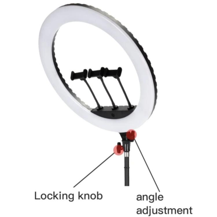 JMARY FM-21R With Remote Control Phone Clip 21-inch Dimmable LED Ring Light(US Plug) - free shipping - PMC TechLife - Order now!