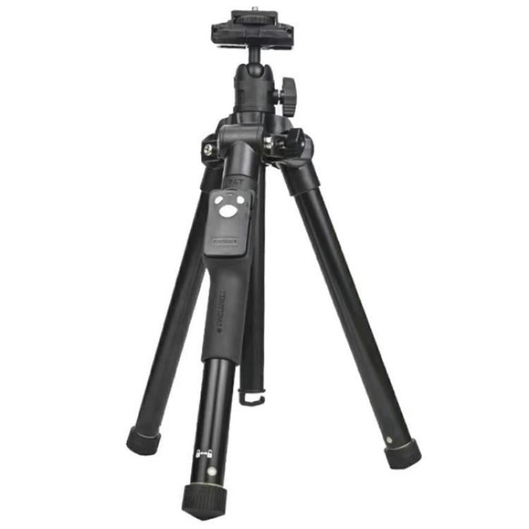 SYA0028717.jpg@b4b116bb695d90754b70a6db752a7b6e