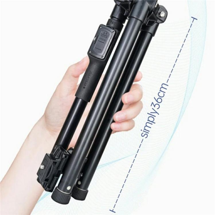 SYA0028717_1.jpg@536125e64a910cf8d1344384427ffdb0