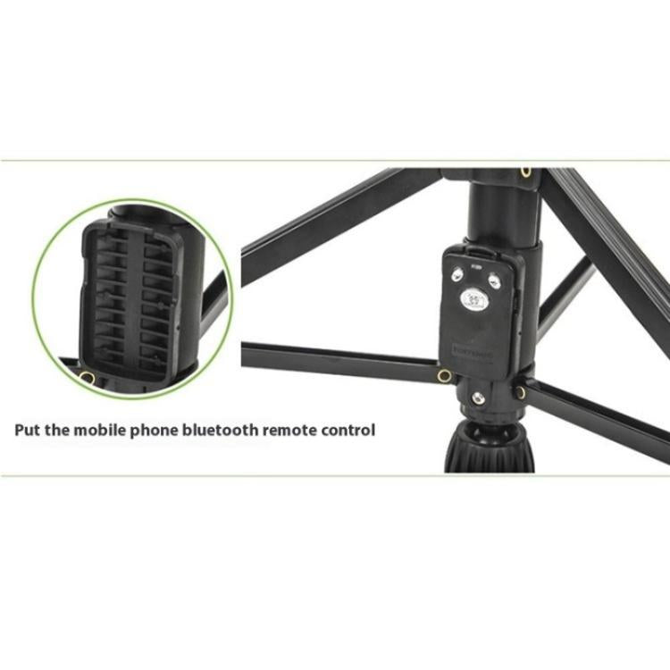 SYA0028733_4.jpg@078b6a874e27329cd179c6ce5ba621b4