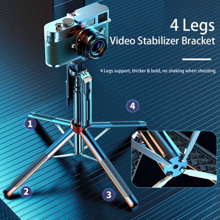 SYA0029699_1.jpg@e728c3a641ed86684ef4b8697a1abfd3